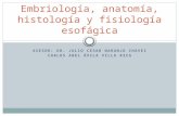 Embriología, anatomía, histología y fisiología esofágica