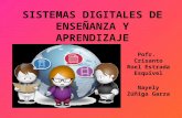 Sistemas digitales de enseñanza y aprendizaje