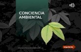 Conciencia Ambiental- INGENIERÍA GEOGRÁFICA Y AMBIENTAL
