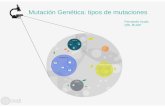 Mutación Genética: tipos de mutaciones