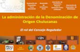 Experiencia Asociativa del Consejo Regulador de Chulucanas, Sr. José Sosa. Presidente del Consejo Regulador de la Denominación de Origen Chulucanas  (spanish)