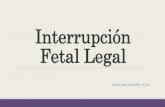 Interrupción fetal legal