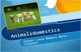 Animals Domestics