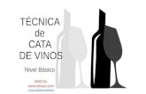 Nivel básico de la técnica de cata de vinos.presentación.pptx