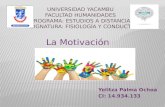 La motivacion, Yelitza Palma Ochoa