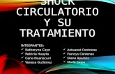 Shock circulatorio y su tratamiento