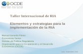 Elementos y estrategias para la implementación de la RIA