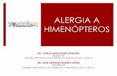 Alergia a Himen³pteros