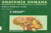 Anatomía humana (11ed)   cabeza, por rouvière y delmas