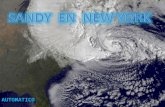 Sandy en nueva york