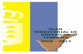Plan territorial de Empleo Tenerife 2008-2013