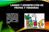 Lavado y desinfección de frutas y verduras