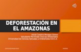 DEFORESTACIÓN EN EL AMAZONAS