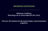 Neuro Sicología