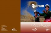 PROMPERU - quinua