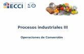 Procesos industriales iii operaciones de conversion