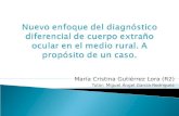 Sesión diagnóstico diferencia de cuerpo extreño ocular m cristina gutierrez lora