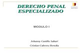 Presentacion power point derecho penal especializado enj 2017