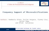 CAIPS 1 Frequency Support of Microcalcifications C I M A T V Taller de Procesamiento de Imágenes Authors: Humberto Ochoa, Osslan Vergara, Vianey Cruz,
