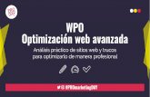 WPO  y mejora de la velocidad de carga de 4 webs en WordPress - PROmarketingDAY