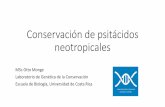 Conservación psitácidos neotropicales