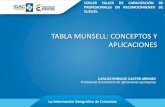 La tabla Munsell: conceptos y aplicaciones