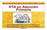 (2017 11-07) hta en atención primaria (ppt)
