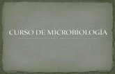 Curso de Microbiología cap i