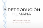 Reproducción humana 2017