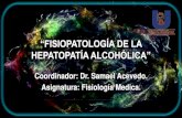 Fisiopatología de la hepatopatía alcohólica