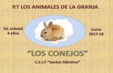 Presentación Proyecto de Trabajo- Animales de la granja- Los conejos