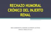 Rechazo humoral crónico renal