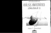 Análisis Matemático (Calculo 1) por Hebe T. Rabuffetti.