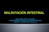 MALROTACION INTESTINAL, dr Emiliano Paico Vilchez