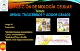 Exposición de biología: Lipidos, Grasa y Triglicéridos (Primer Semestre CCQQ UNIVERSIDAD DE GUAYAQUIL)