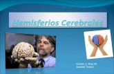 Hemisferios cerebrales-presentacion-powerpoint