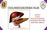Tumor de Klatskin - Colangiocarcinoma Hiliar