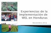 Experiencias de la implementación de wel en honduras 13 nov2012