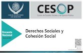 Derechos Sociales y Cohesión Social