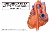 Enfermedades De La Aorta: ANEURISMA AÓRTICO y DISECCIÓN AÓRTICA