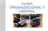 Clima organizacional y laboral