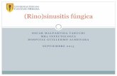 Rino)sinusitis fúngica.pptx 8