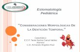 Consideraciones morfológicas de la dentición temporal