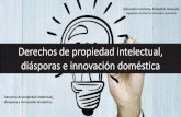 Derechos de propiedad intelectual, diásporas e innovación doméstica.