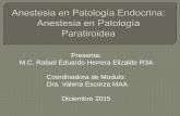 Paratiroides y Anestesia