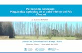 Percepción del riesgo: plaguicidas agrícolas en el valle inferior del Río Chubut