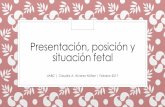 Presentación, posición y situación fetal