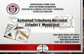Derecho Tributario - Actividad tributaria, municipal, estadal, nacional