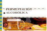 tema 2 fermentación alcohólica