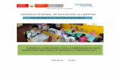 Currículo Regional por la emergencia ante desastres naturales Región La Libertad 2017